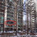 새솔금호아파트 이미지