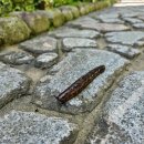 1공단로6길-4 이미지