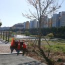 삼오공인중개사사무소 이미지