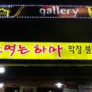 술먹는하마 네이버블로그