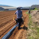 강화군농기계은행 본점 이미지