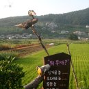 방조림민박 이미지