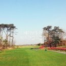 골프친구들 이미지