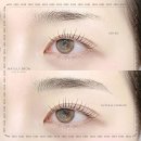 메이릴리 이미지