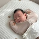 둘째맘의 산후도우미 의정부 에스엠천사(SM1004) 후기