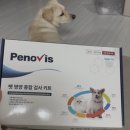더케어벳 네이버블로그