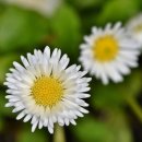 밤실마을 이미지