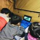 카이트 | 카이트카라반 화성점 방문 후기｜카라반 구매 전 꼭 알아야 할 이유