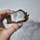 망개당 | 은은한 망개잎 향 그대로! 어르신들도 좋아한 망개떡 후기