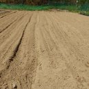 금산흥농 이미지