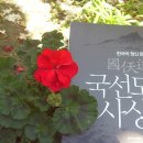 국선도 이미지