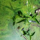 하천(금강2) 이미지