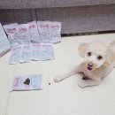 굿인소프트 이미지