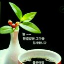 일요일 이미지