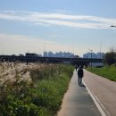 용암천변길 이미지