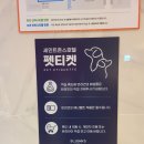 뉴호박성인나이트클럽 | 강원도 강릉애견동반호텔 세인트존스호텔 펫룸 숙박 후기