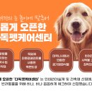 다독펫케어센터 네이버블로그