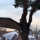 도봉산싱싱사우나 이미지