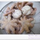 쭈꾸미가 이미지