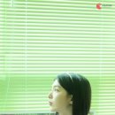송지원 카카오 검색결과