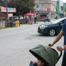 남일닭갈비 이미지