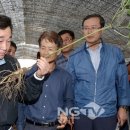친환경인삼영농조합법인