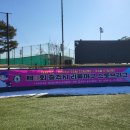 탄금야구장 이미지