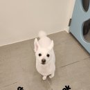 토리미용실 이미지