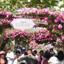 동일로163길 (7) 이미지