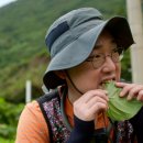 섬마을민박 이미지