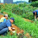 화성농장 이미지