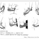 암벽 등반의 기본 지식 이미지