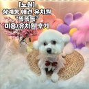 똑똑독 이미지