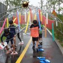 라온 튼튼 태권도 이미지