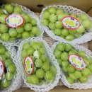 여물농장 이미지