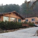 피노키오자연휴양림 네이버블로그