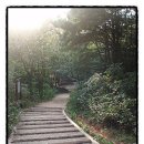 백석도서관 정류장 이미지