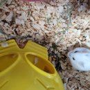 매산리 538 이미지