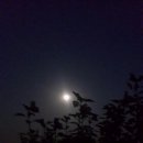 무궁화슈퍼 Daum카페