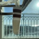 바비덴탈 이미지