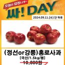 송정마트 티스토리