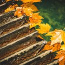 PIC공인중개사사무소 이미지