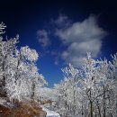 한 폭의 산수화 보는 듯 사계절 아름다워 걷고 싶은 영천 보현산 이미지