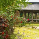 사랑방모임경로당 이미지