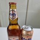 덴마크 프리미엄 맥아 100% 켈리 맥주 후기🍺