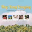 헤이앤피드㈜ | [공지] 네이버 피드메이커 2기 맛집/카페 결산 후기