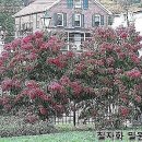 사오리농장 이미지