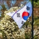 신기한나라 이미지