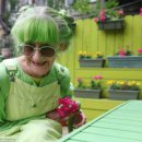 초록초록 이미지