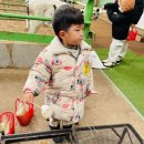 건희목장 이미지